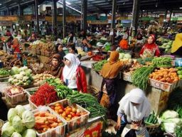 Miris, China dan Mesir Pemasok Sayuran Terbesar di Indonesia