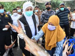 Nilai Tukar Nelayan di Jatim Naik pada bulan april, Indikator peningkatan Kemampuan Daya Beli