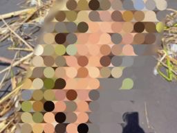 Terungkap Identitas Mayat Mr X