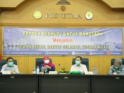 Pusat Veteriner Farma (PUSVETMA) Surabaya Siapkan Pengembangan dan Produksi Vaksin PMK untuk ternak