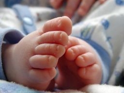 Bayi Tewas Digigit Ibunya