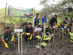 Kodim 1611 Badung, QNET Dan Rythm Foundation Tanam 2000 Bakau Untuk Hari Lingkungan Dunia