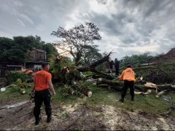 Dilanda Angin Puting Beliung Atap Rumah Beterbangan, Kandang Ayam  Rusak Parah