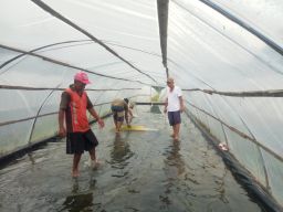 Pantai Selatan Kabupaten Malang Mulai Produksi Garam