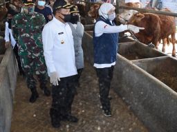 Jatim Siapkan 1.276 Juru Sembelih Halal (JULEHA)  Di Idul Adha  1443 H Tahun 2022