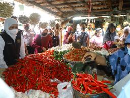 Serangan Hama dan Mundurnya Musim Tanam, Di Balik Tingginya Harga Cabai