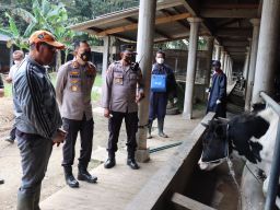 Polres Malang Kawal Percepatan Vaksinasi PMK, 12.319 Ekor Ternak Sudah Tervaksin