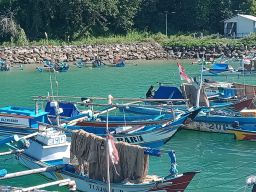 Tuna Rasa Baby Lobster