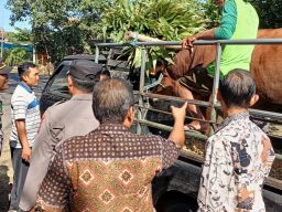 Idul Adha, Polres Nganjuk Maksimalkan Penyekatan Hewan Ternak Guna Cegah PMK