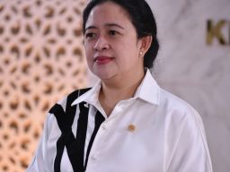 Puan: Masifkan Sosialisasi dan Edukasi Masyarakat Soal Cacar Monyet