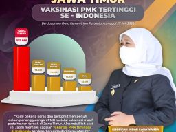 Gubernur Jatim Klaim Miliki Capaian  Vaksinasi PMK Tertinggi