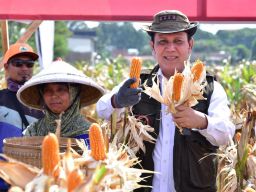 BNPT Selenggarakan Panen Raya Perdana Kawasan Terpadu Nusantara (KTN) di Turen