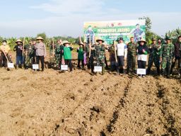 Kodim 0813 Bojonegoro Lakukan Tanam Jagung Bersama