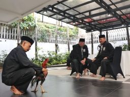 LaNyalla Jalani Tes Ayam Jago, Ketua PSHT: Berkarakter Pantang Menyerah dan Pemberani