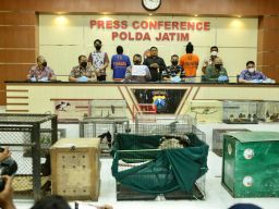 Polda Jatim Bongkar Praktik Jual Beli Satwa Dilindungi dan Amankan 304 Satwa