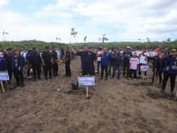 Perayaan HUT ke-77 RI di Banyuwangi, NasDem Jatim Gelar Jalan Sehat dan Tanam Mangrove