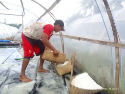 Universitas Brawijaya Kembangkan Teknologi GST-CDM Untuk Petambak Garam PANSELA Jatim