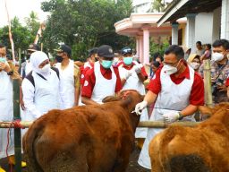 Tinjau Percepatan Revaksinasi PMK di Jember, Gubernur Khofifah: Se-Jatim Sudah Tersuntikkan 635.050