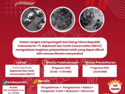 Peringatan HUT RI ke 77 Dengan Pelepasan Tukik Penyu Di Pantai Bajul Mati Sore Nanti
