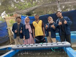 Mahasiswa KKN PSDKU UB Kediri Membuat Inovasi Aquaponik Sederhana Pada Lahan Budidaya Ikan Nila