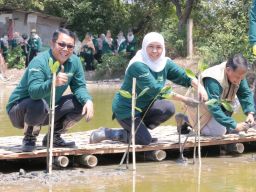 Nandur Mangrove Bersama Kepala BPS Jatim dan Gubernur Khofifah