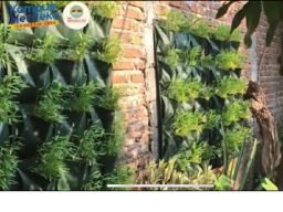 Mahasiswa KKN PSDKU UB Ajarkan Pembuatan Taman Sayur Dengan Pola Vertical Plan