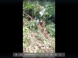 Pembalakan Liar di Lereng Gunung Tambora Terkesan Terjadi Pembiaran