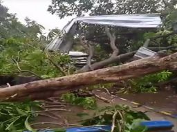 Hujan Deras Dan Angin Kencang Melanda Sidoarjo, Menyebabkan Pohon Tumbang dan Atap Rumah Terbang