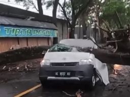 Kakak Beradik Meninggal Dunia Usai Pick-up Yang Dinaikinya Tertimpa Pohon Di Jalur Blitar-Malang