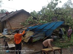 Belasan Rumah Rusak Diterjang Hujan Deras dan Angin Kencang di Jember