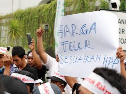 Operasi Pasar Untuk Komoditas Telur dan Daging Ayam Broiler Sementara Dihentikan