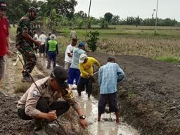Minimalisir Terjadi Banjir Polisi di Lamongan Bersama Warga Bersihkan Saluran Irigasi