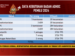 Pelamar Badan Ad Hoc Pemilu 2024 Melalui Aplikasi SIAKBA