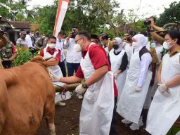 Cegah Penyakit Lumpy Skin Disease (LSD) Serang Ternak Sapi di Jawa Timur
