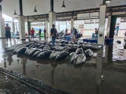 Membuang Limbah B3 Ke Laut ?