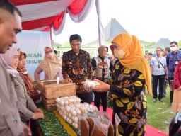 Festival Inovasi Desa dan Kovablik 2022, Cara Cepat Wujudkan Replikasi Success Story Desa Mandiri