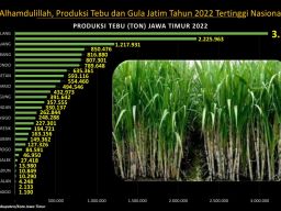 Produksi Gula dan Tebu Jatim Sumbang 49,55 % Produksi Nasional