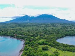 Pesona Pantai Sijile Situbondo, Berenang Di Laut Dengan Sensasi Hutan Rimba Gunung Baluran
