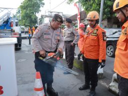 Antisipasi Dampak Angin Kencang, Kegiatan Gerpas Pohon Demi Keselamatan Pengendara Di Jember