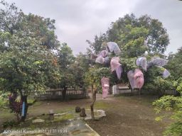 Narasi Kecil Tentang Tahun Baru