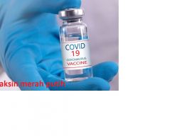 Uji Klinis Berjalan Sukses, Rektor UNAIR Apresiasi Mitra Rumah Sakit Pengembang Vaksin Merah Putih