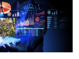 Metamorfosis Sebuah Cita-cita Dalam Hidup Manusia