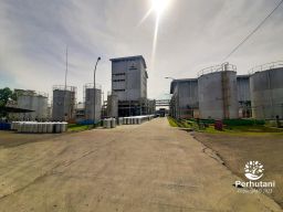 Perhutani Raih Sertifikat Ecolabel  Industri Hasil Hutan Bukan Kayu