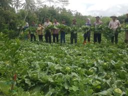 Desa Bangelan Malang Kembangkan Food Estate Dengan Konsep Edu-Wisata