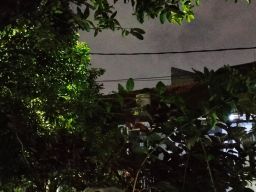 Bau Tanah Yang Khas Sehabis Turun Hujan