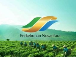 Pembentukan Amco di PTPN III Perlu Dikaji Mendalam