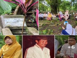 Tentang Bapak Dan Panggilan Pulang