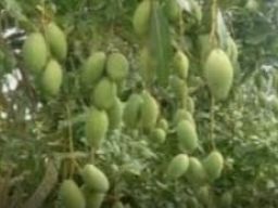 Memberi Hadiah Kepada Diri Sendiri