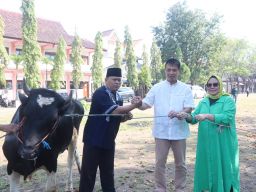 Iduladha 1444 H, UNIPRA Surabaya Sembelih Hewan Kurban