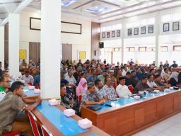 Target Indeks Desa Membangun Kabupaten Pidie Tercapai 100 Persen